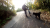 vlcsnap-2016-11-01-19h46m47s134.png