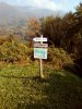 IMG_20161103_120529.jpg