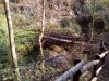 IMG_20161103_121402.jpg