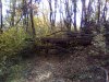 IMG_20161110_120250.jpg