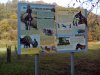 IMG_20161116_124755.jpg