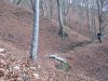 2016-11-16 Faggi-Caslino-colma Sormano (3).jpg