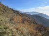 2016-11-16 Faggi-Caslino-colma Sormano (13).jpg