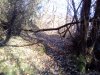 IMG_20161222_140101.jpg