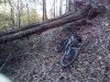 IMG_20161222_140223.jpg
