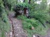 Foto0123.jpg