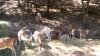 20160717_110040.jpg