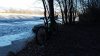20170101_120145.jpg