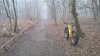 WP_20161218_004.jpg