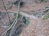 2017-01-03 Brunate-Torno-Lemna-Mara-Eremo-diga Leana (8).jpg