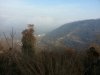 20170104_113155.jpeg