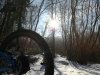 IMG_20170114_122325.jpg