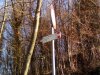 IMG_20170125_115837.jpg
