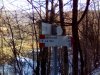 IMG_20170125_120147.jpg