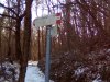 IMG_20170125_120222.jpg
