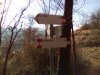 IMG_20170125_121501.jpg