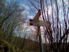 IMG_20170125_121529.jpg