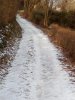 IMG_20170125_124120.jpg