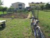2011 orto 012.jpg