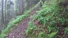 ziobikeful1.jpg.mp4_snapshot_02.38_[2017.06.06_22.36.02].jpg