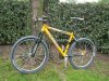 Cinelli1.jpg