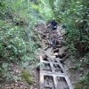 IMG-20170719-WA0000.jpg