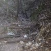 IMG-20170719-WA0001.jpg