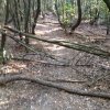 IMG-20170719-WA0002.jpg