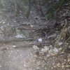 IMG-20170719-WA0003.jpg