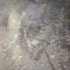 IMG-20170719-WA0004.jpg