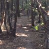 IMG-20170719-WA0005.jpg