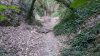 IMG-20170719-WA0007.jpg