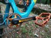 IMG_20170911_180246.jpg