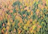 IMG_20171014_173417_285.JPG