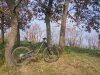 IMG_20171019_121359_HDR.jpg