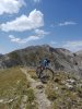 IMG_20170803_143146.jpg