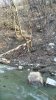 IMG_20180322_163256.jpg