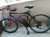 Bianchi Aspid.jpeg