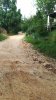 IMG_20180725_184600.jpg