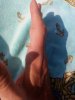 IMG_20180810_163724.jpg