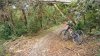 IMG_20181020_112337.jpg
