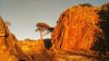 IMG-20181208-WA0026.jpg