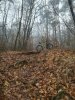 IMG_20181223_103902.jpg