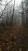 IMG-20181223-WA0008.jpeg