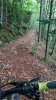 IMG_20180901_154443.jpg