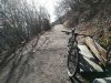 IMG_20190118_122855.jpg