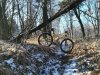 IMG_20190128_115749.jpg