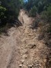 20170714_131605.jpg