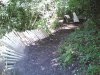 12052007.jpg