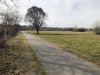 IMG_2746.jpeg